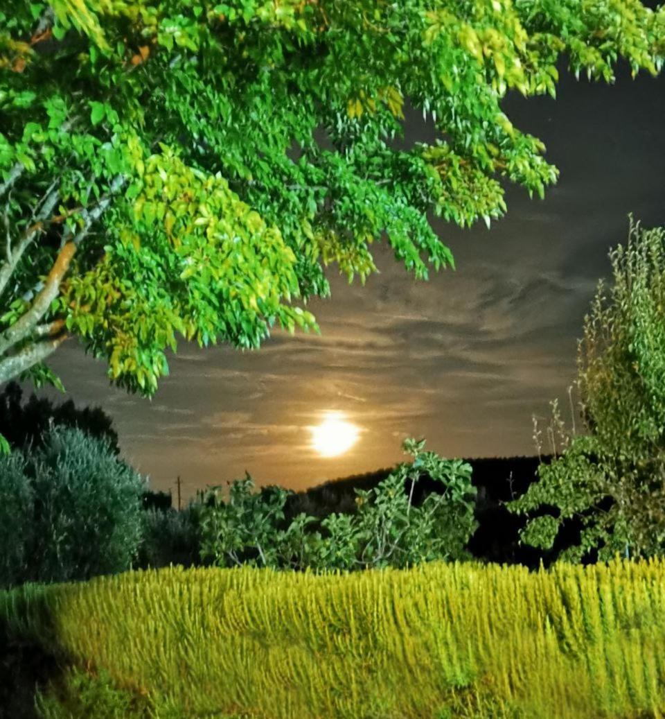 Casa Tonino Villa Pisticci Buitenkant foto